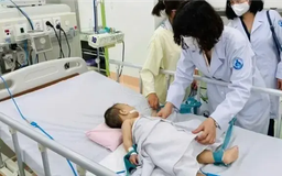 Hơn 86.000 ca mắc, 17 người tử vong vì sốt xuất huyết