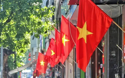 Treo cờ Tổ quốc chào mừng Đại hội Đảng bộ Thành phố