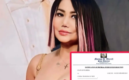 Lynda Trang Đài có thể bị phạt 1 năm tù