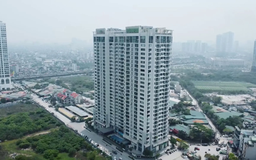 Cần đánh thuế để giảm đầu cơ bất động sản