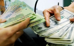 Chuyển tiền 500 triệu phải nhập dữ liệu cá nhân từ 1/11