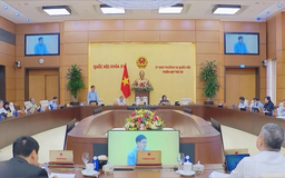 Nâng cao tính minh bạch trong quản lý và điều tiết giá