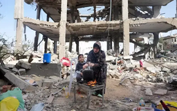 Cộng đồng quốc tế hoan nghênh thỏa thuận ngừng bắn tại Gaza