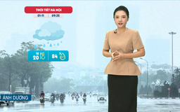 Dự báo thời tiết trưa | 01/11/2025