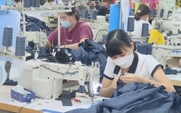Đưa công nghiệp thời trang Việt Nam bắt nhịp xu hướng xanh