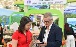 Hội chợ Mùa thu 2025: Nơi giao thương và văn hóa hội tụ