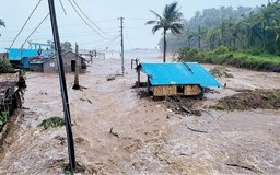 Philippines thiệt hại nặng nề do bão Phượng Hoàng