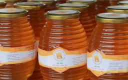 Mật ong Kim Sơn - sản phẩm OCOP 3 sao | Mỗi xã một sản phẩm | 10/11/2025