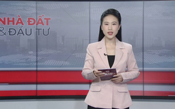Bản tin Nhà đất và đầu tư | 10/11/2025
