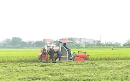Giảm phát thải trong nông nghiệp | Chuyển đổi xanh | 09/11/2025