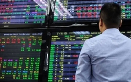Cổ phiếu trụ trở lại giúp VN-Index bật tăng 13 điểm