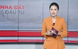 Bản tin Nhà đất và đầu tư | 11/11/2025