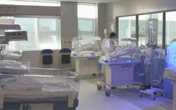TP.HCM khai mở nhiều tài nguyên du lịch y tế