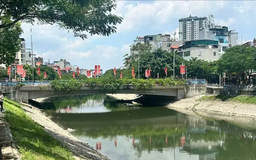 Hiện thực hóa giấc mơ xanh của Hà Nội
