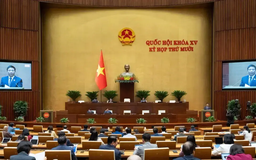 Thận trọng với quy định phạm nhân được hiến mô, tạng