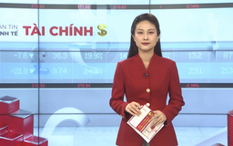 Bản tin Kinh tế Tài chính | 12/11/2025
