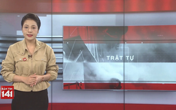 Bản tin 141 | 12/11/2025