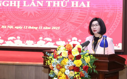HĐND thành phố sẽ có thêm Ban Khoa học Công nghệ và Môi trường