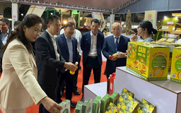 Ấn tượng Hội chợ Đặc sản Vùng miền Việt Nam 2025