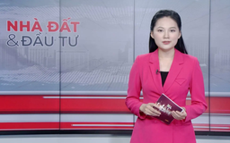 Bản tin Nhà đất và đầu tư | 13/11/2025