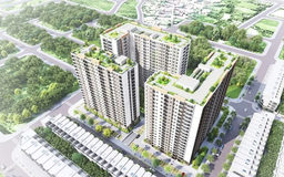 Bắc Ninh chuẩn bị có thêm 321 căn nhà ở xã hội