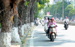 Thời tiết 13/11: Hà Nội se lạnh, ngày có nắng nhẹ