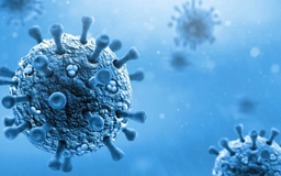 Việt Nam có nguy cơ cao xâm nhập virus bại liệt