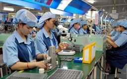 Tác động của chính sách pháp luật đến hoạt động kinh doanh | Sống và làm việc theo pháp luật | 13/11/2025