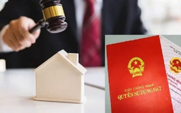 Xử phạt hành vi lấn chiếm đất | Sống và làm việc theo pháp luật | 14/11/2025