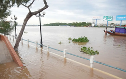 Triều cường ở Cần Thơ vượt báo động III trở lại