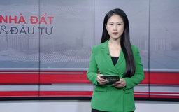 Bản tin Nhà đất và đầu tư | 14/11/2025
