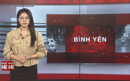 Bản tin 141 | 14/11/2025