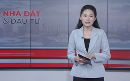 Bản tin Nhà đất và đầu tư | 15/11/2025