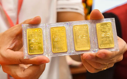 Giá vàng ngày 15/11 giảm sốc
