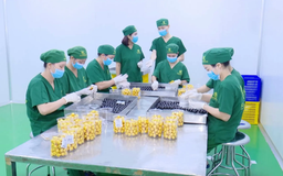 Chế biến sâu - giải pháp nâng cao giá trị nông sản | Chuyện ở ngoại thành | 15/11/2025