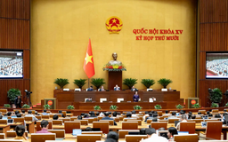 Quốc hội thảo luận nhiều dự án luật quan trọng tuần tới