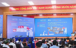 Hợp tác văn hóa khu vực đối với di sản kéo co