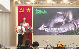 27 dự án xuất sắc vào Chung kết Human Act Prize 2025
