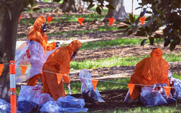 Australia, New Zealand đóng cửa nhiều trường học do ô nhiễm amiăng