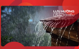 Hơi ấm trong cơn mưa