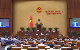 Bộ trưởng Công an giải trình dự thảo 10 luật quan trọng