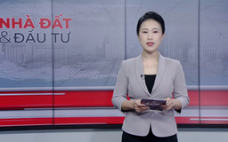 Bản tin Nhà đất và đầu tư | 17/11/2025