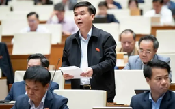 Đề xuất bảo hiểm chéo không được kèm quy định bắt buộc