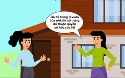 Xác lập quyền sở hữu đối với hoa màu | Sống và làm việc theo pháp luật | 19/11/2025