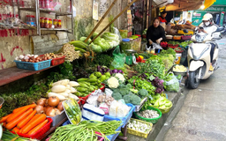 Rau xanh tăng giá chóng mặt