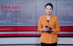Bản tin Nhà đất và đầu tư | 19/11/2025