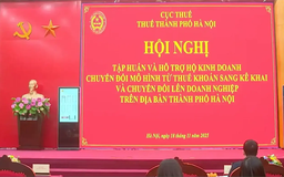 Không để hộ kinh doanh lúng túng khi chuyển đổi kê khai