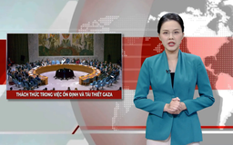 Thách thức trong việc ổn định và tái thiết Gaza | Nhìn ra thế giới | 19/11/2025