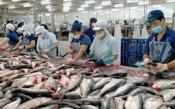 Trung Quốc ngừng nhập khẩu hải sản từ Nhật Bản