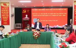 Cử tri kiến nghị nhiều vấn đề dân sinh, hạ tầng